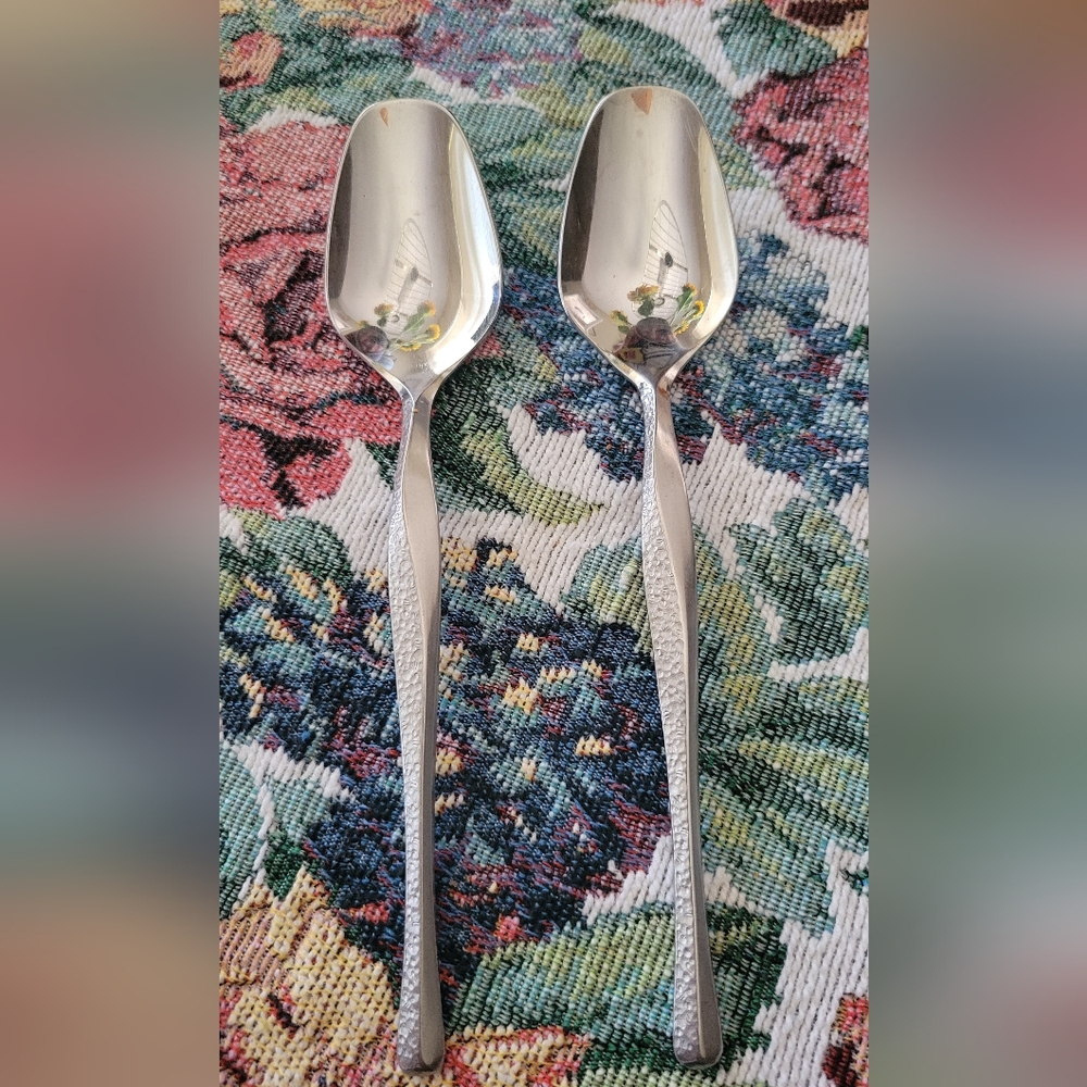 Nesco Concerto Spoons
